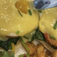   at Evviva in Toronto