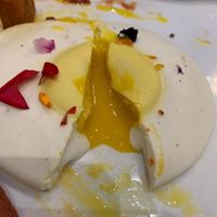   at Evviva in Toronto