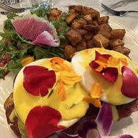   at Evviva in Toronto