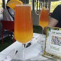   at Evviva in Toronto