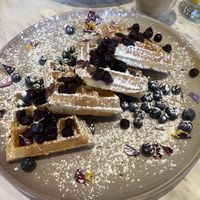   at Evviva in Toronto