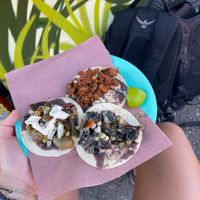   at La Cordobesita in Tulum