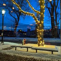 View through the window at Aster Cafe in Minneapolis