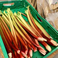 rhubarb at denn's Biomarkt - Heinrich in Braunschweig