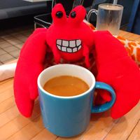 Krusty enjoying a coffee with oat milk. at The Plant Based & Juice Bar in Danville