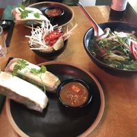 Summer rolls with a vegan Phó to the side  at Pho in Berlin