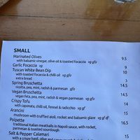 All entrees are vegan  #Veganuary at Shedshaker Brewing Company in Castlemaine