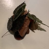 Vegan course desert - Cacao and Cacao fruit sherbet at FARO in Tokyo