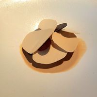 Vegan tiramisu at FARO in Tokyo