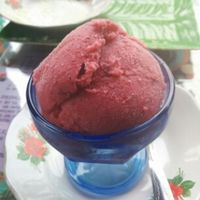 strawberry coconut sorbet! at Buddha Cafe in Samosir