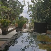 Garden at Buddha Cafe in Samosir