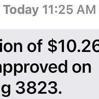 One ☝️ small juice   at Grain & Berry in New Port Richey