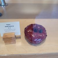 Only Vegan doughnut they have at Oliboli Donuts in Tustin