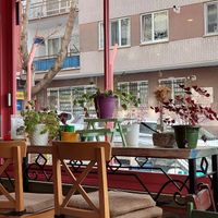  at Terradan Pub in Ankara