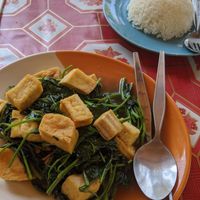 Morning Glory with tofu at Tum Restaurant in Koh Phayam
