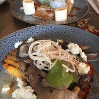 Mushrooms at Monk Bodhi Dharma in Balaclava