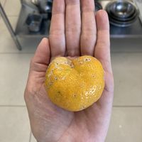 Organic at Carrito Organic in Sao Paulo