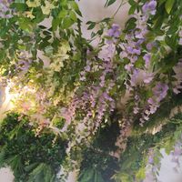  at Cantine De Lotus in Paris