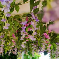 flowers deco at Cantine De Lotus in Paris