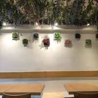   at Cantine De Lotus in Paris