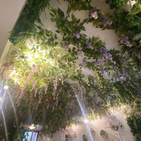   at Cantine De Lotus in Paris