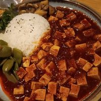 Mapo tofu vegan 🌶️🌶️ at Cantine De Lotus in Paris