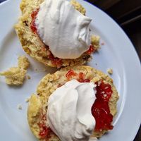 Scone with jam (Oatly whipped cream bought elsewhere). at Leaf & Bean in Broadway