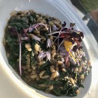 Vegan risotto at The Views Vegetarian Restaurant in Kaiteriteri