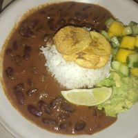  at Jungle Café & Catering in Eindhoven