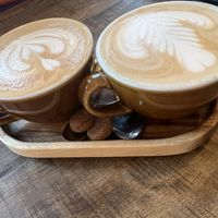   at Jungle Café & Catering in Eindhoven