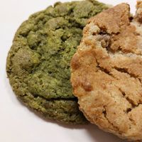  at Jungle Café & Catering in Eindhoven