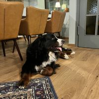   at Köhlerstüble in Stuttgart