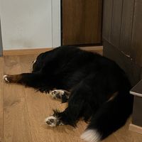   at Köhlerstüble in Stuttgart