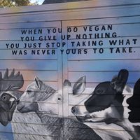 Outside at Oh My Soul in Charlotte