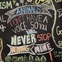 Vegan inspiration   at Oh My Soul in Charlotte