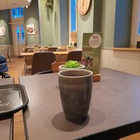  at Junge Die Bäckerei in Binz