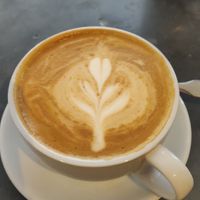  at bigmoose coffee co in Cardiff