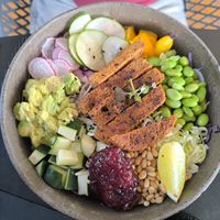  at Pisek Bar in Celje