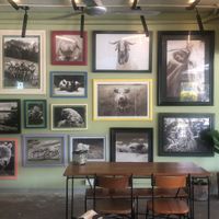   at Herbivoro in Cancun