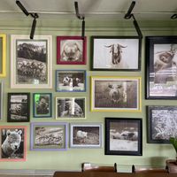 ❤️ at Herbivoro in Cancun