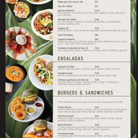  at Herbivoro in Cancun