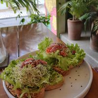  at Herbivoro in Cancun