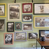   at Herbivoro in Cancun