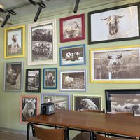   at Herbivoro in Cancun