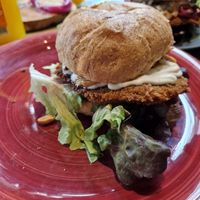  at Bärenstark in Cologne