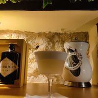 Great White Lady Cocktail. Foam is perfect at The Botanical Den in Lisbon