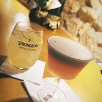 Cocktails with aqua faba at The Botanical Den in Lisbon