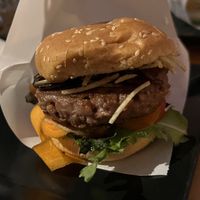   at The Botanical Den in Lisbon