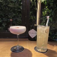 Stawberries and cream Martini and Jameson Ginger and Lime 🤩   at The Botanical Den in Lisbon