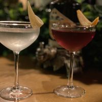 Vesper & Martinez  at The Botanical Den in Lisbon